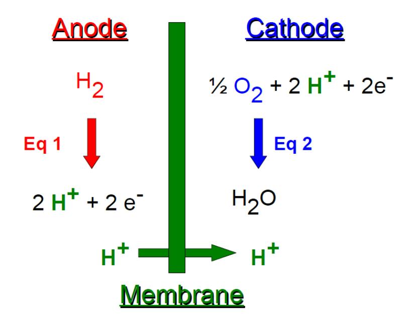 PEMFC principle.