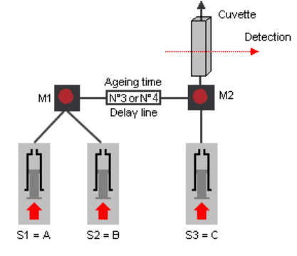 schema 