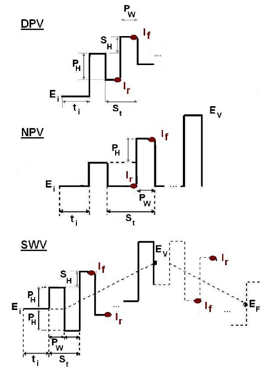 schema 